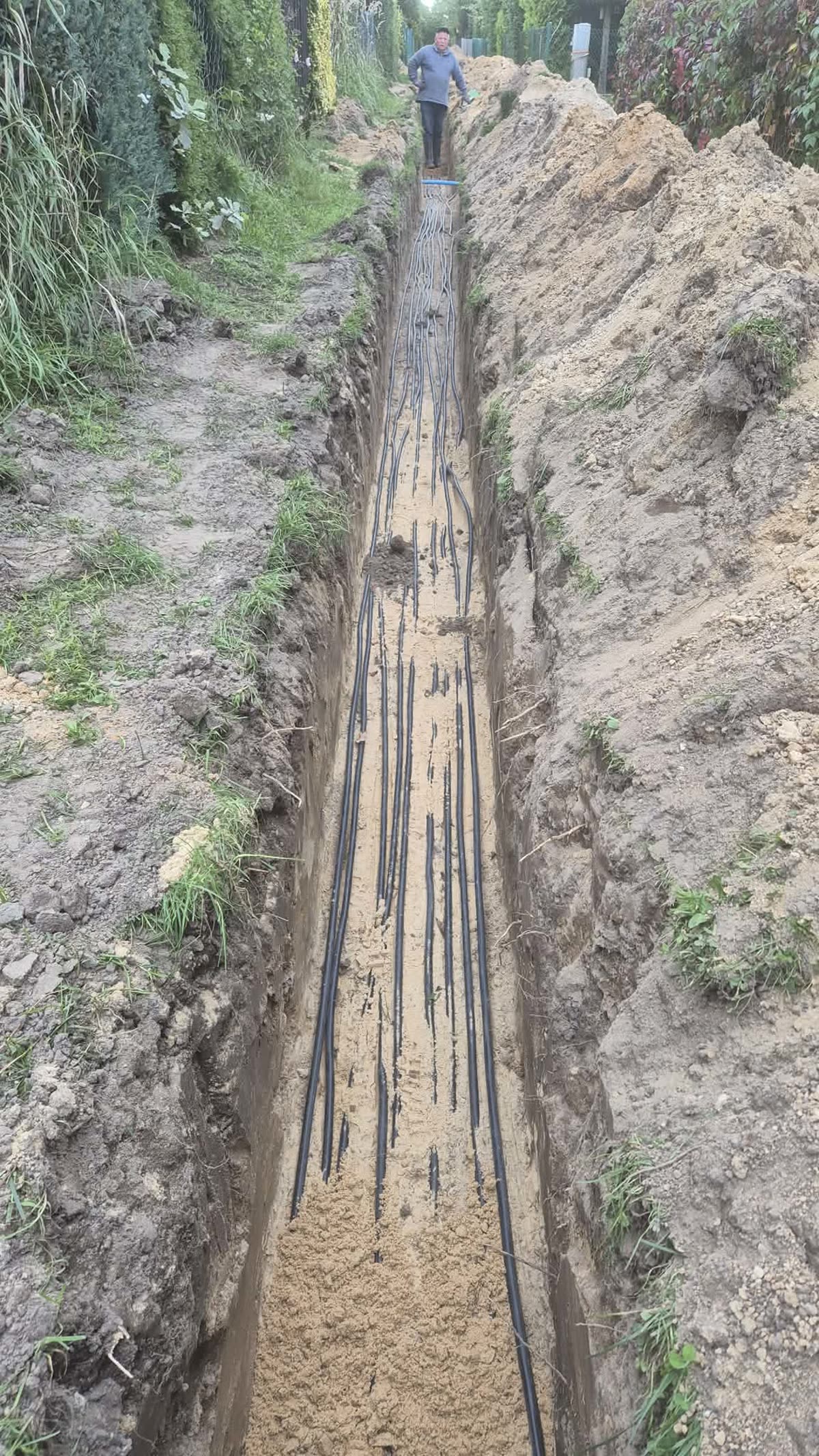 Wachlarz kabli w wykopie podczas budowy sieci ROD Woźniki